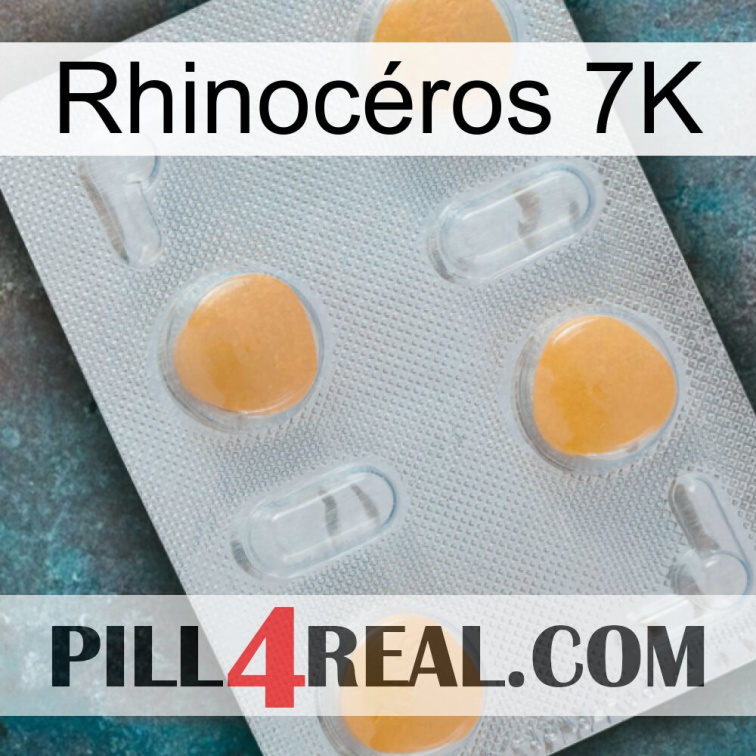 Rhinocéros 7K 24